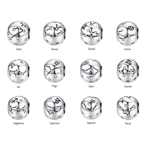 Zodiac Sign Charms - The Silver Goose