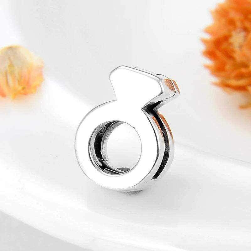 Ring Reflexion Charm - The Silver Goose